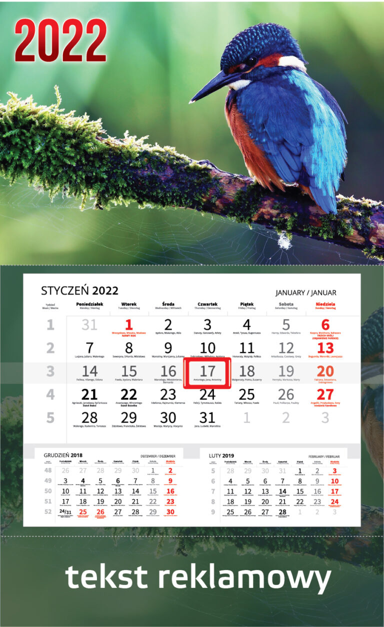 Kalendarz jednodzielny - wariant 1 - Kalendarze 2022 r.