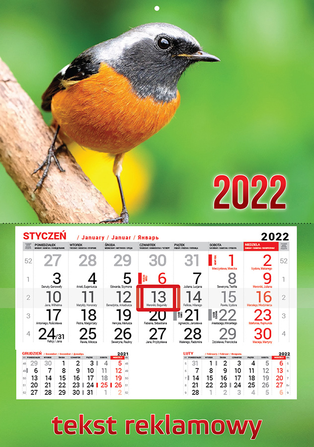 Kalendarz jednodzielny - wariant 2 - Kalendarze 2022 r.